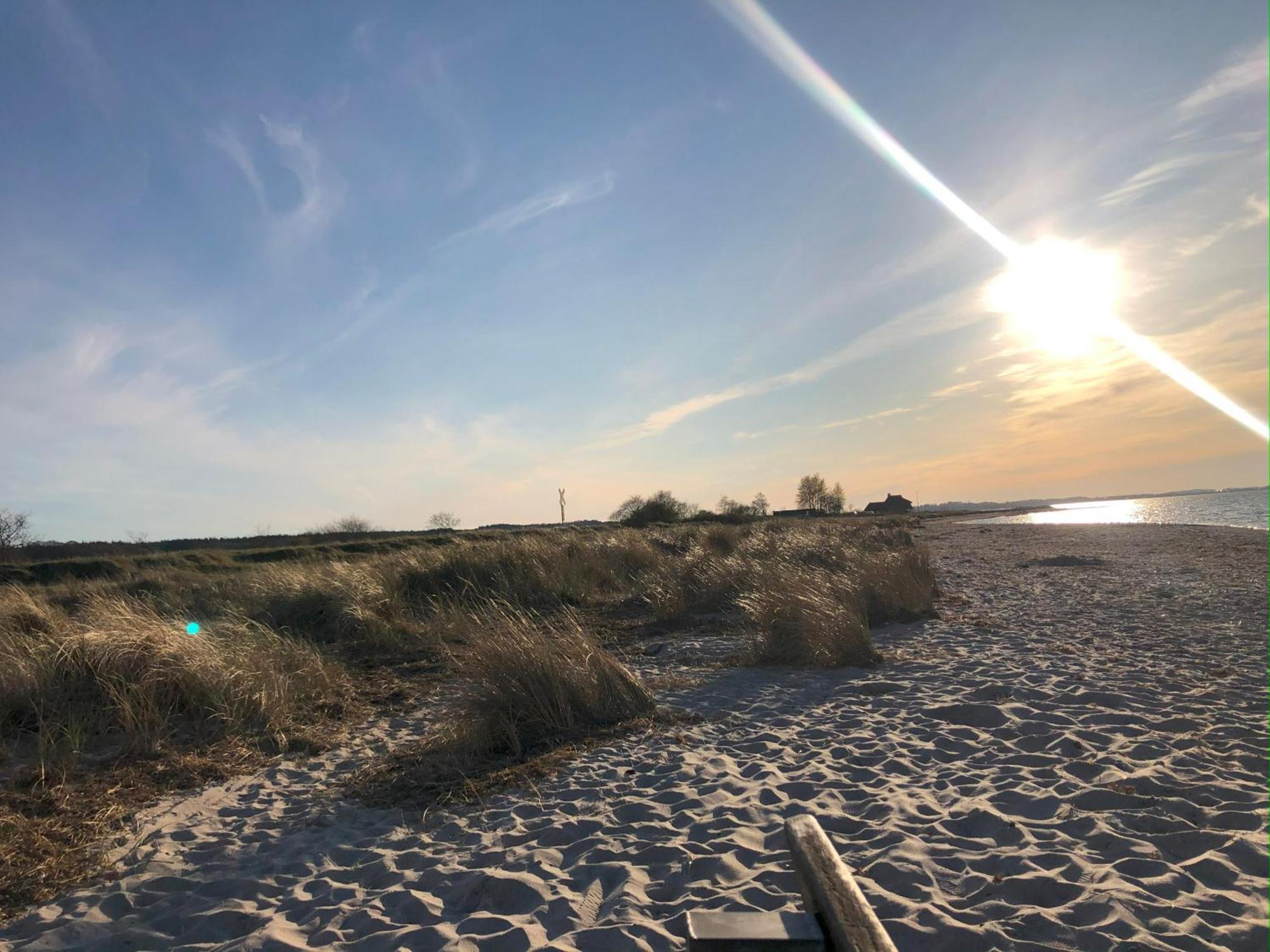 Neue Ferienwohnung An Der Ostsee,Terrasse,Sauna Surendorf Dış mekan fotoğraf