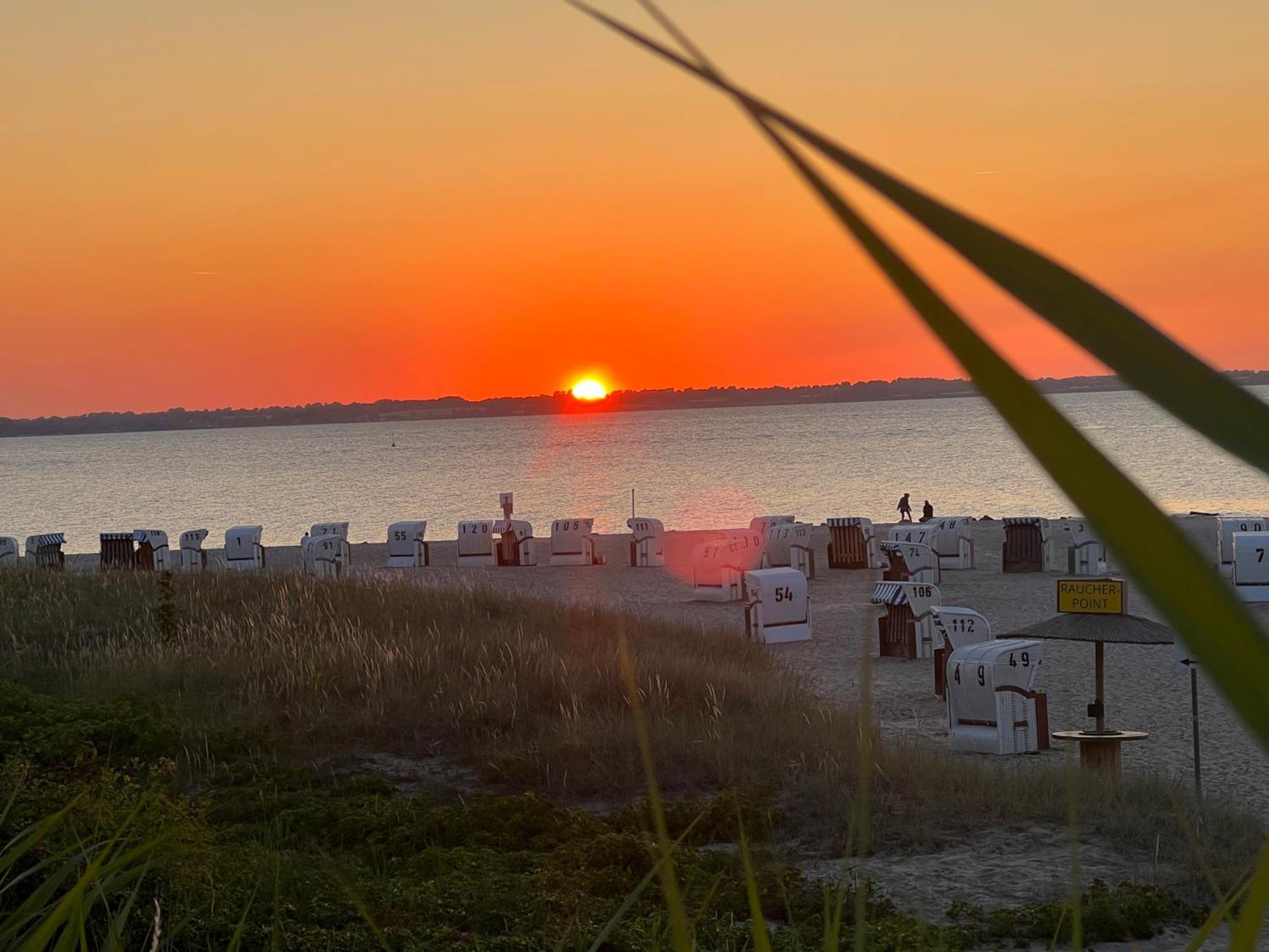 Neue Ferienwohnung An Der Ostsee,Terrasse,Sauna Surendorf Dış mekan fotoğraf